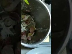 Pelar ajos con Thermomix. #thermomix #thermomixtm6 #tm6 #pelarajos #ajos #ajo #pelarajo