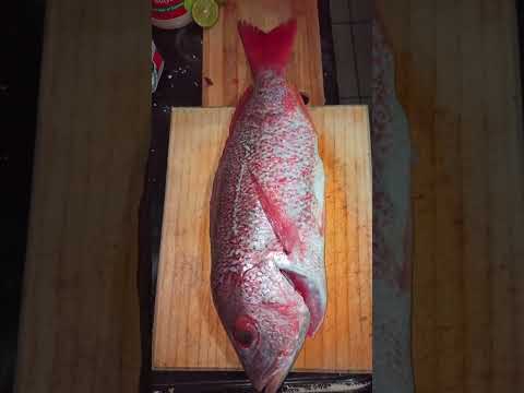#Pescado #marisco #fresco recien sacado del #mar Red Snapper #shorts #receta de #cocina #comida epic
