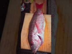 #receta de #cocina #pescado #huachinango #pargo red snapper #mukbang #mar #playa sea food #frito