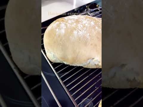 Receta de pan rápido pero dejando levar fuera media hora. #tm6 #thermomix #panrapido #pan