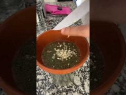 Receta súper fácil de nuestra tradicional Lengua a la vinagreta. #comida #food #argentina #receta
