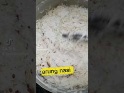 Thermomix as a perfect steamer🤩 3x kukus,less than 1 hour = 1kg nasi dagang siap