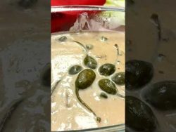 Thermomix TM6- Dare to try new recipe 😋