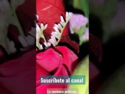 #ytshorts #youtube #youtubers #youtubeshort #youtubeshorts #2023 #enero2023 #happy #recipe #receta