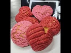 CONCHAS EN THERMOMIX GABYBERN 2023