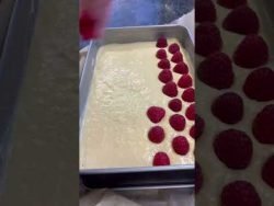 🥥saftige Himbeer-Kokosschnitten mit Frischkäsefrosting #baking #thermomix #cake #reels #recipe