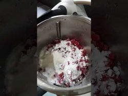 redcurrants ice cream #thermomix 🍦 #subscribe #trendingshorts #share #viralshort #refreshing