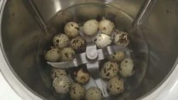 COMO COCER y PELAR HUEVOS de CODORNIZ con THERMOMIX
