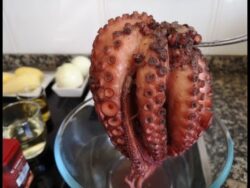 Cocción del Pulpo con Thermomix