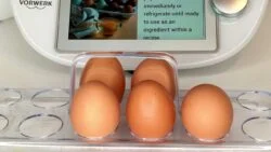 Como pasteurizar  huevos con Thermomix@