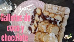 🍪 GALLETAS Coco – Choco SALUDABLES en FREIDORA DE AIRE 💨