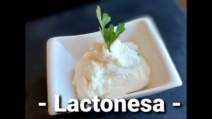 LACTONESA con THERMOMIX®. MAYONESA sin huevo.