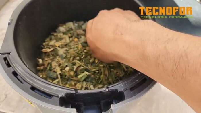 Materia Seca de Forrajes con Freidora de Aire (Air Fryer)