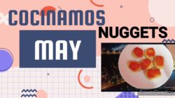 NUGGETS CONGELADOS en freidora de aire TRISTAR (QUEDAN BUENISIMOS)