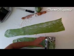 PASTA FRESCA de ESPINACAS con THERMOMIX de ThermoMaquinita.