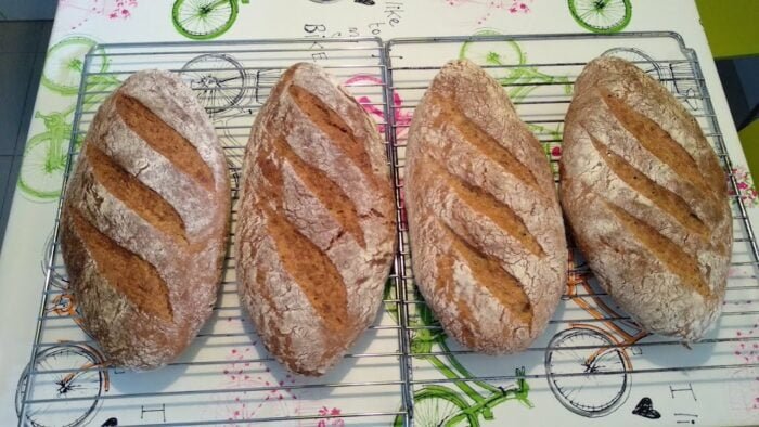 Pan de masa madre con Thermomix (2/3 integral – 6.7% de aceite – 1-2% de levadura – 80% hidratación)