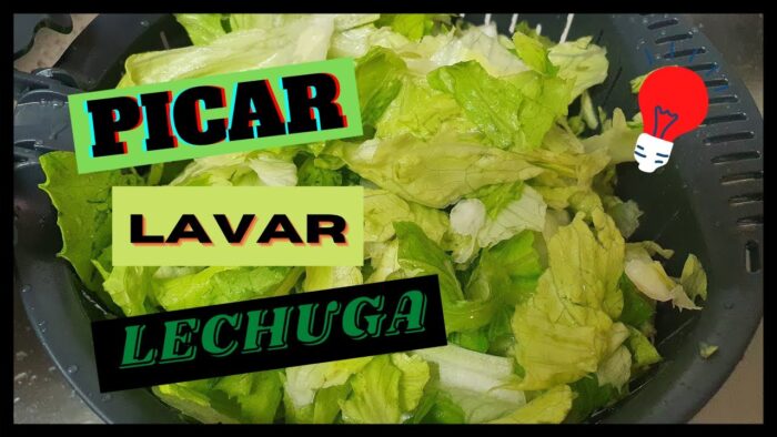 Picar y lavar lechuga con thermomix