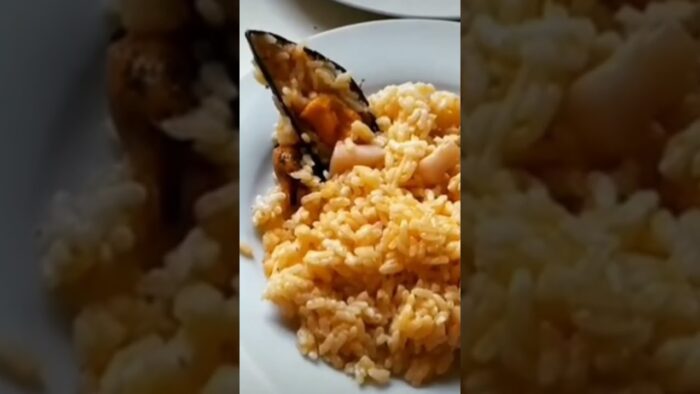 Todo tipo de recetas con Thermomix!!! #recetas #recetasthermomix #thermomix #thermomixtm6 #tm6