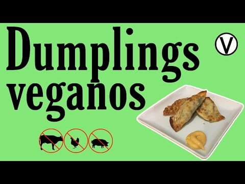 Dumplings en Freidora de Aire | vegan❤️