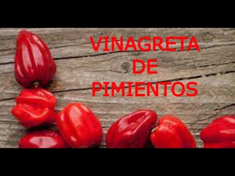 VINAGRETA DE PIMIENTOS CON THERMOMIX®