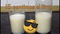 Como hacer leche de avena casera con Thermomix o batidora.