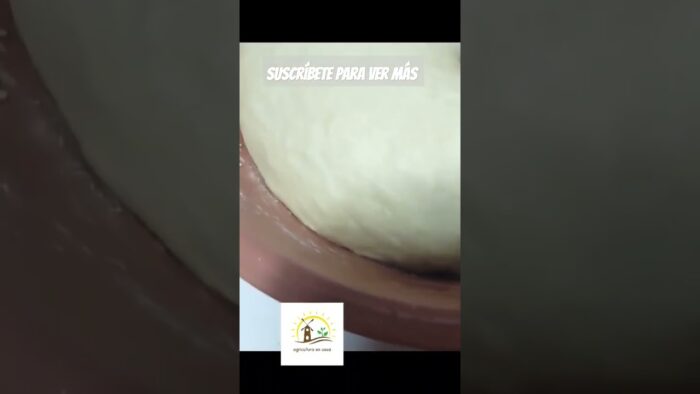Cómo hacer pan tu freidora de aire. #4