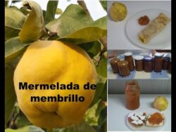 Mermelada de membrillo tradicional y con Thermomix®