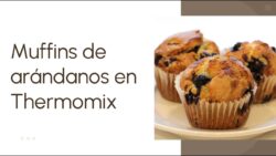 Muffins de arándano con THERMOMIX 🧁