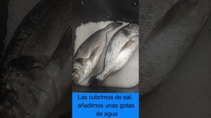 Dorada a la sal en freidora de aire #shorts #freidoradeaire #cosori