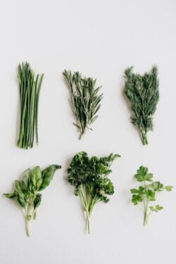 Del huerto a la mesa: recetas con ingredientes frescos y naturales