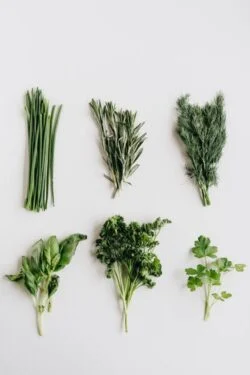 Del huerto a la mesa: recetas con ingredientes frescos y naturales