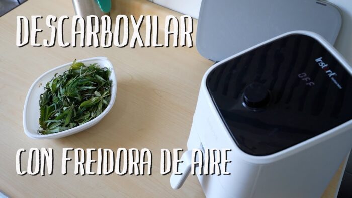Descarboxilar con freidora de aire para cocinar