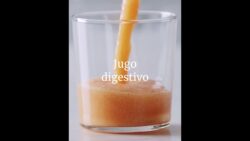 Jugo digestivo con Thermomix®