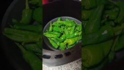 Sin freir!! Pimientos de padrón unos pican y otros no en freidora de aire o en horno