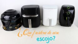 ¿Qué FREIDORA DE AIRE Cecotec ESCOJO? | Comparativa Airfryer