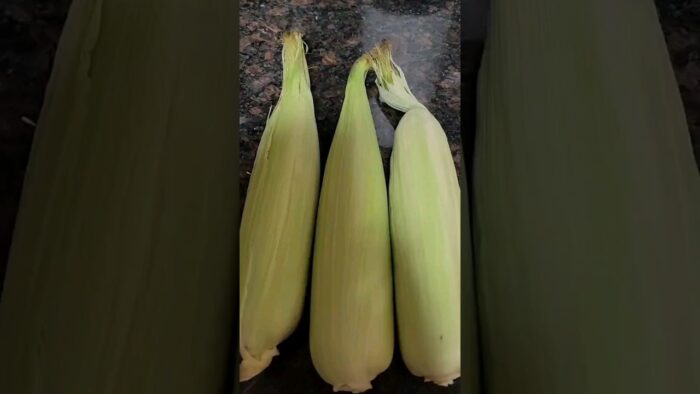 Elotes asados en freidora de Aire –  Air Fryer Roasted Corn.