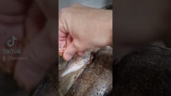 PESCADO JUGOSO en FREIDORA de aire #airfryer #cosori