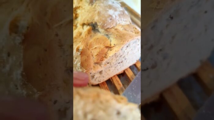 Pan rápido con semillas#panrapido#panconsemillas#panesthermomix #thermomix #thermomixtm6 #tm6  #pan