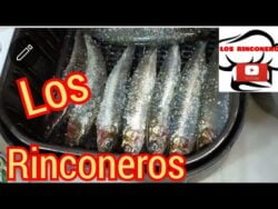 SARDINAS ASADAS EN LA FREIDORA DE AIRE..SIN HUMOS Y OLORES..