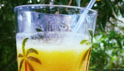 Sangría refrescante de nectarina, cítricos y vino blanco dulce