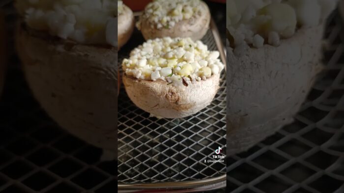 ¿LA FREIDORA DE AIRE? OPINIÓN TRASNOCHADA