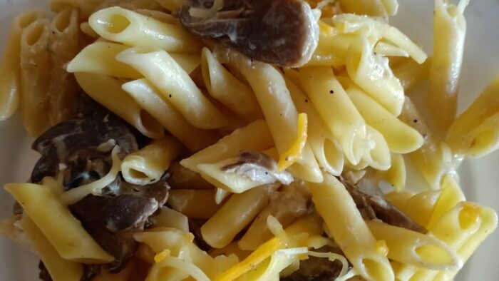 Macarrones con salsa de setas, fácil y rico con Thermomix