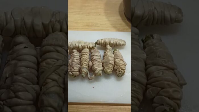 Madejicas de ternasco en freidora de aire. Cocina tradicional aragonesa@lacocinadepipo9733