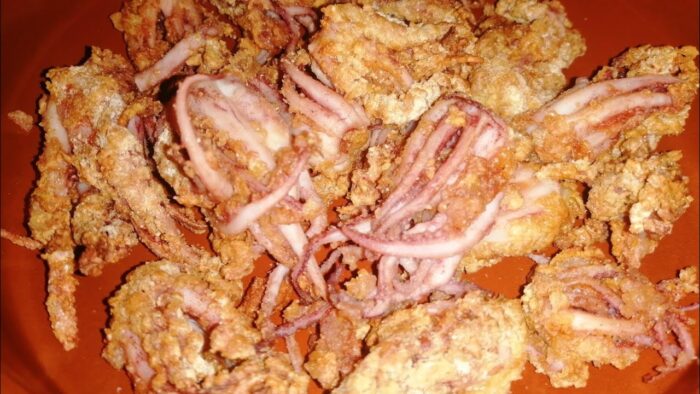 REJOS FRITOS en freidora de aire TRISTAR||Receta fácil y rápida