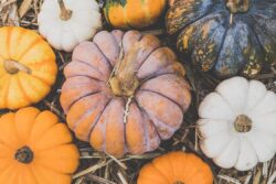 Delicias de Otoño: Recetas Irresistibles para Septiembre en Solo Recetas