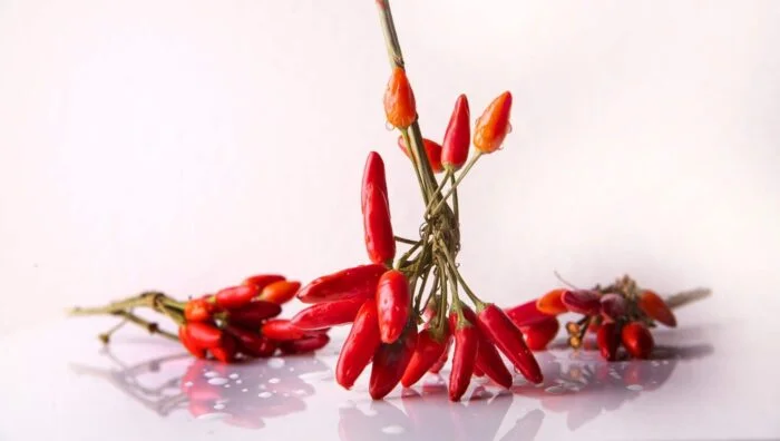 Receta de chiles caribe