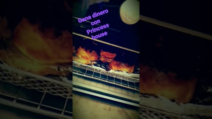 Air Fryer Oven freidora de aire de princess house