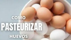 Como PASTEURIZAR HUEVOS en Thermomix