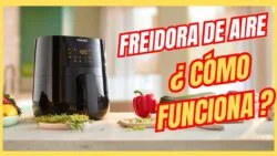 ⁉️ FREIDORA de aire cómo funciona, Que es una freidora de aire Freidora sin aceite como funciona?