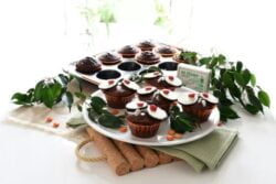 Cupcakes ‘Búhos de chocolate’